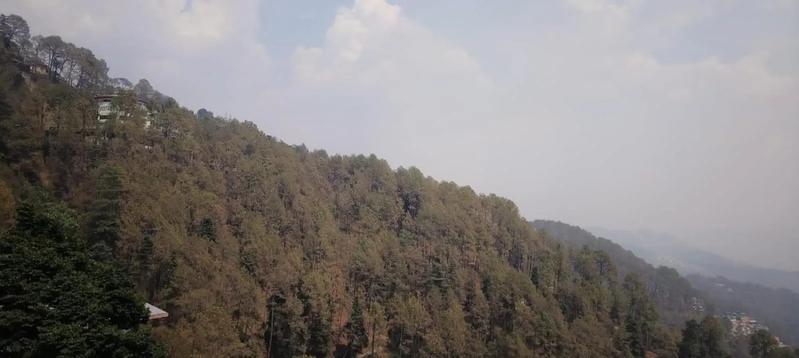 Bed & Breakfast Gauri Gopal Cottage Shimla